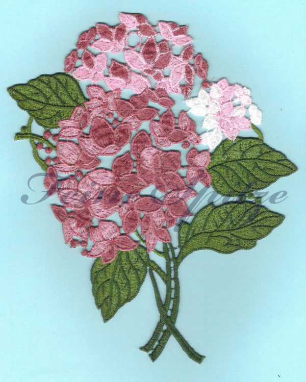 Fensterbild Hortensie